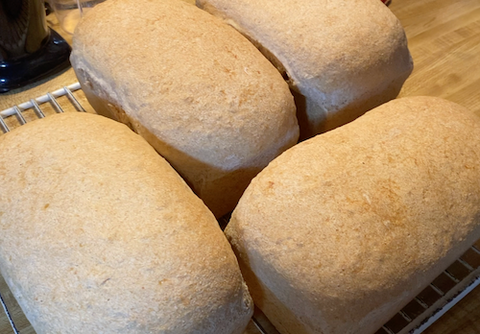 Fresh home-baked bread at Prairie Road Organic