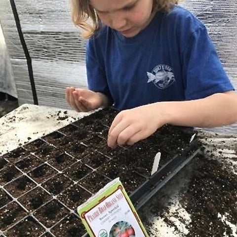 Planting seed trays with seeds from prairie road organic seed