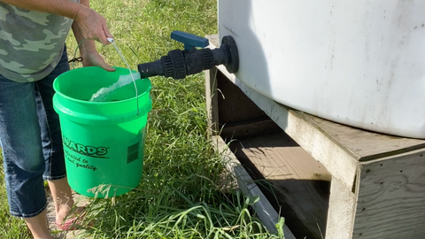 Rainwater catchment system at Prairie Road Organic Seed