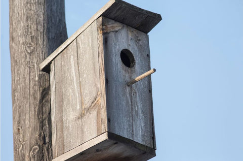 Spring cleaning birdhouses in April at Prairie Road Organic Seed.jpg