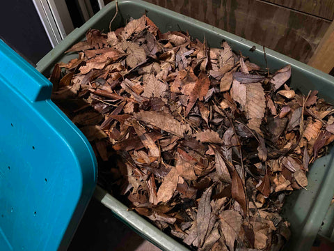 Vermicompost bin at Prairie Road Organic Seed