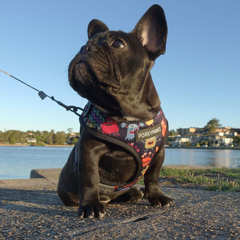Hifrenchies® soft padded harness