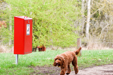 pet waste container for pet owners
