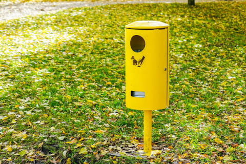 Dog poop trash can in an outdoor park