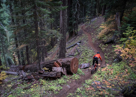 oakridge oregon mountain biking trails