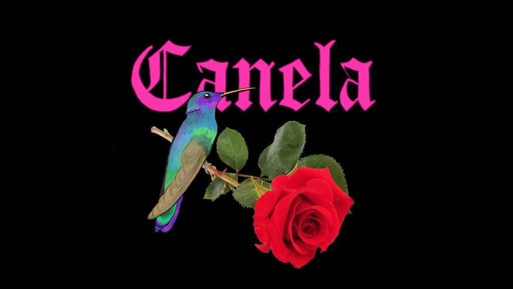 Canela Vintage LLC
