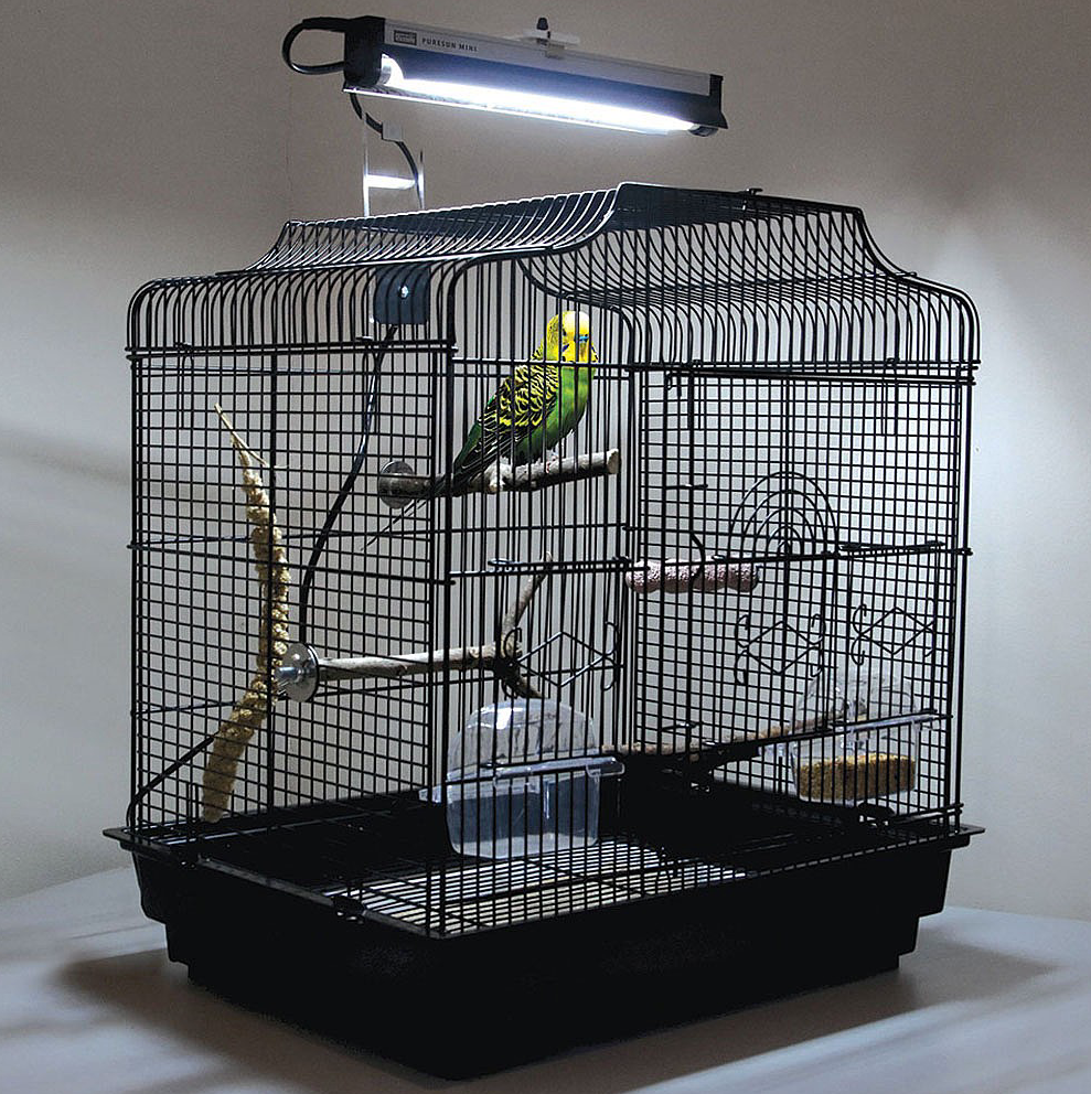 avian sun bird lamp