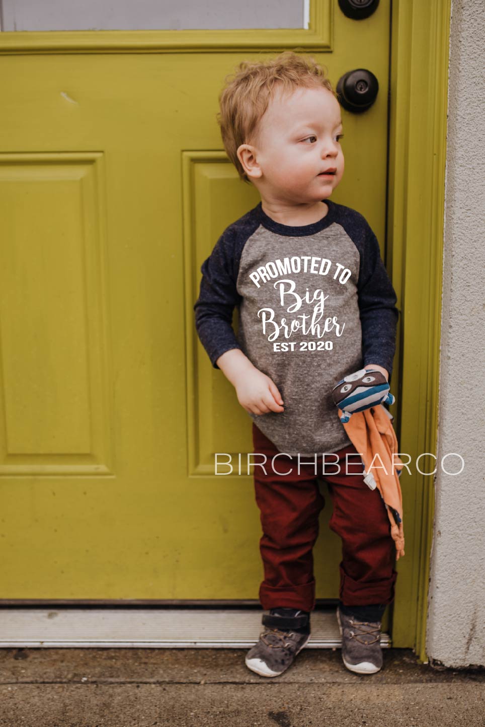 big brother sweatshirt toddler