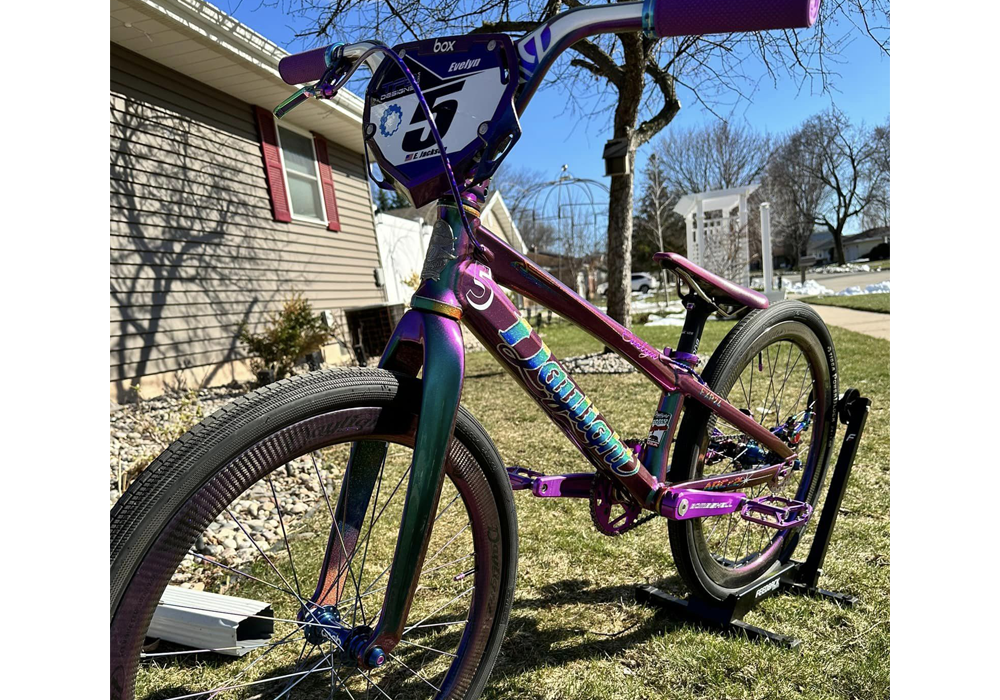 Raven Superflake Bike Paint Kit on Custom Bike