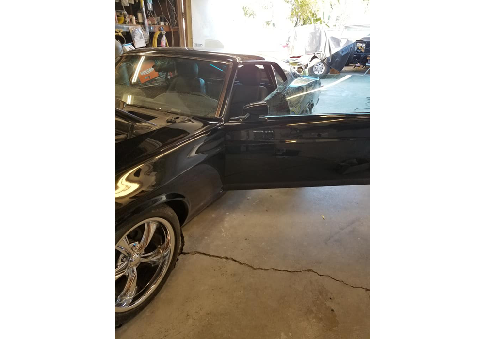 Tamco Paint Murdered Out Black on Mustang Widebody