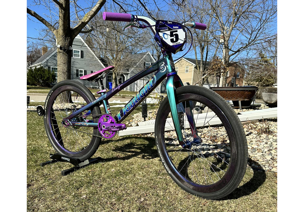 Raven Superflake Bike Paint Kit on Custom Bike