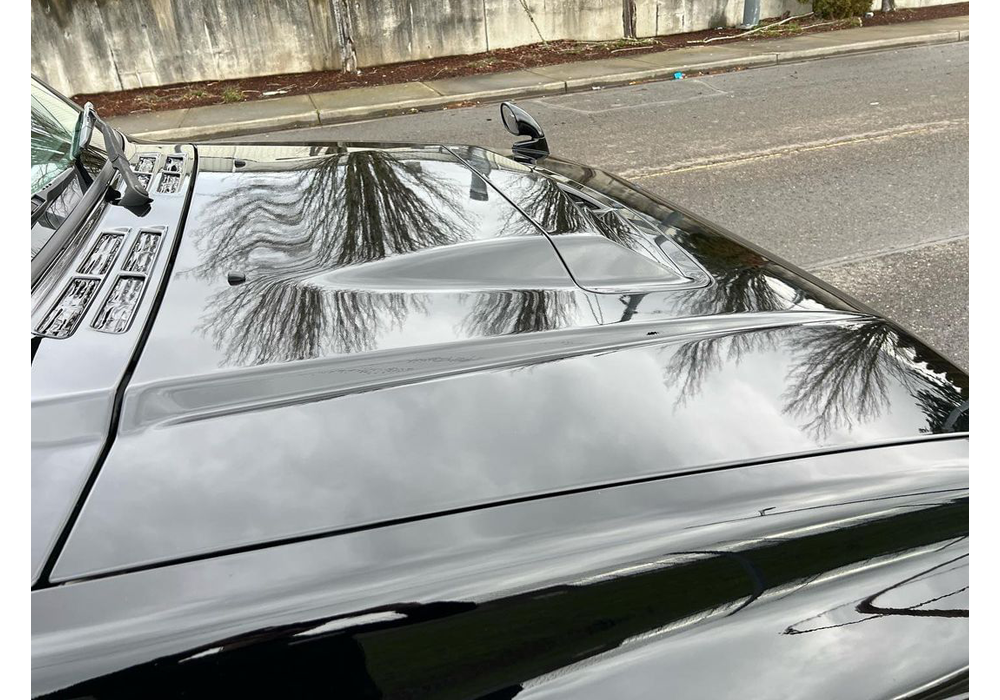 Truly Black Drop-In Pigment on Mitsubishi Pajero Evo