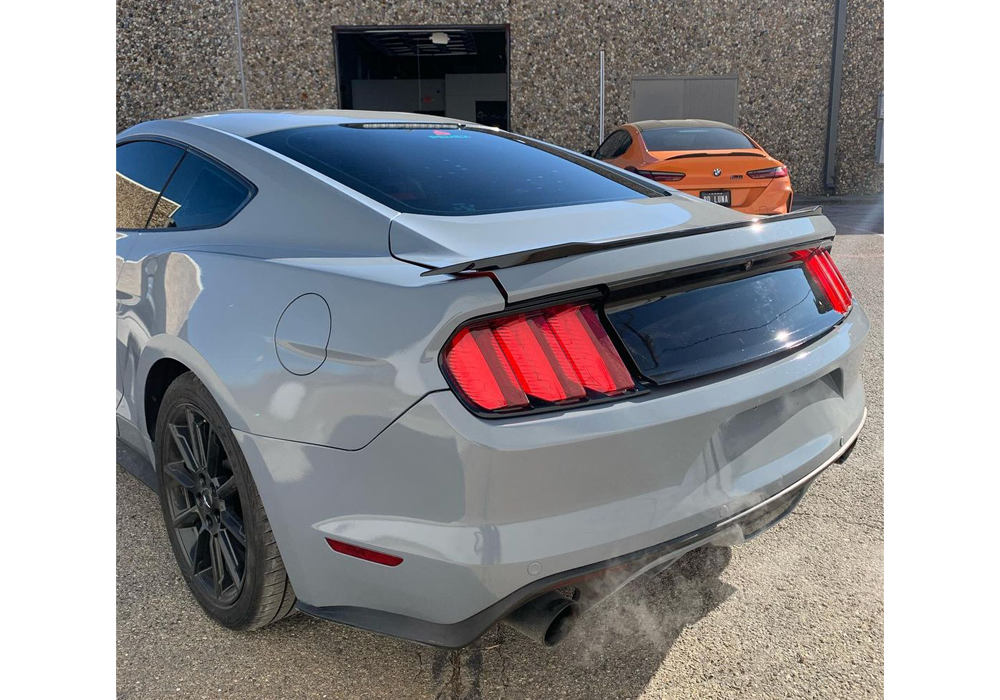 Leo-Nardo Gray on Ford Mustang