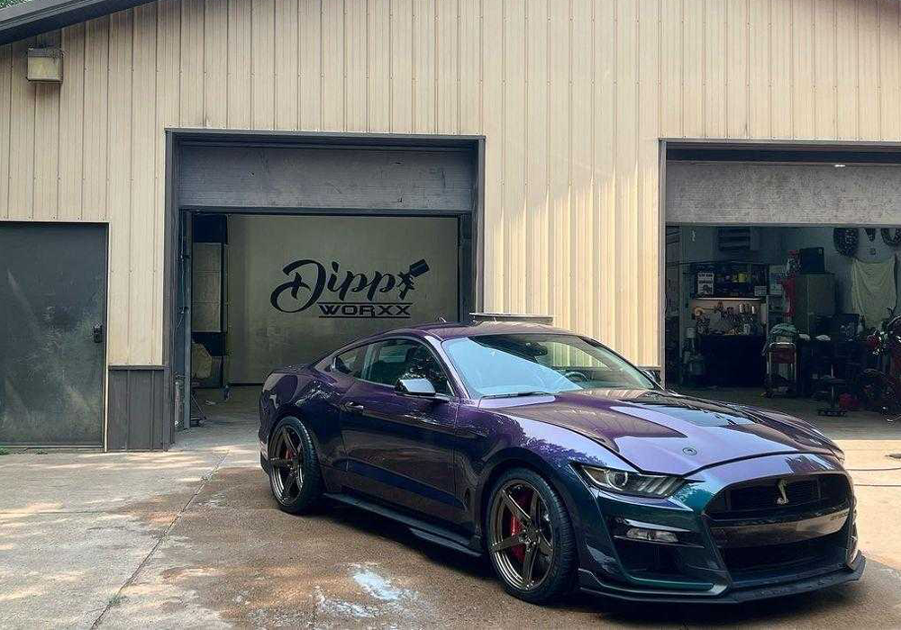 Mystic Chrome Alpha Custom Color on Mustang GT500