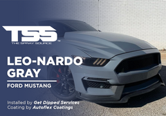 Leo-Nardo Gray on Ford Mustang