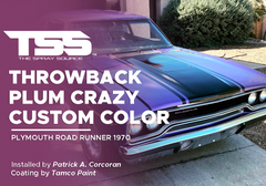 Throwback Plum Crazy Custom Color on Plymouth Road Runner 1970