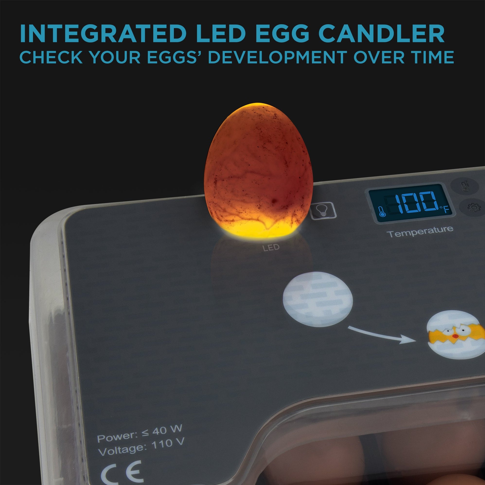 Jumbl clear egg incubator