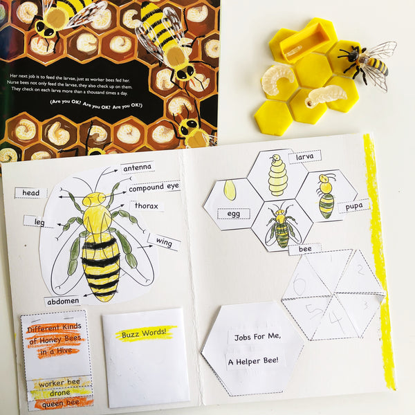 Bees a Buzz Learning Unit - PDF Download – Tickle Your Senses