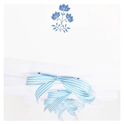 blue white striped ribbon gift box by the little palm