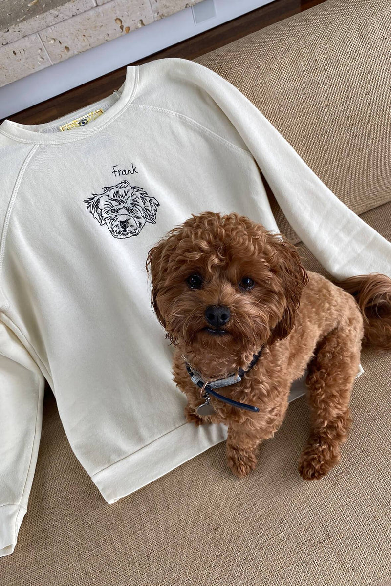 sweatshirt with dogs face on it