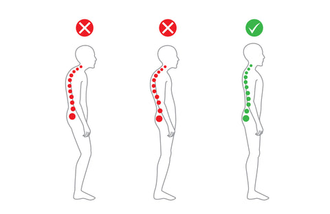 Posture Brace The Natural Posture - What is the correct alignment