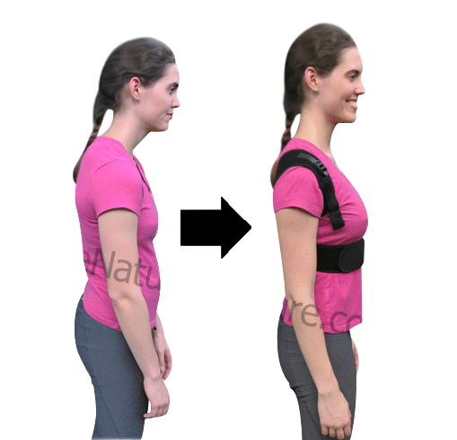 ziffer Dr.Adviced Magnetic Therapy Posture Corrector Shoulder Back Support  Belt Posture Corrector - Buy ziffer Dr.Adviced Magnetic Therapy Posture  Corrector Shoulder Back Support Belt Posture Corrector Online at Best  Prices in India 