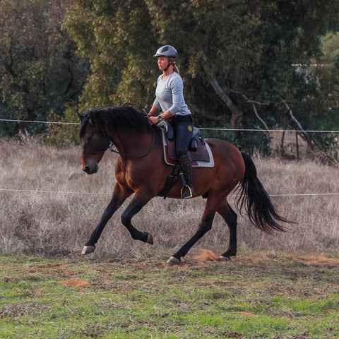 Natural horsemanship in the saddle 