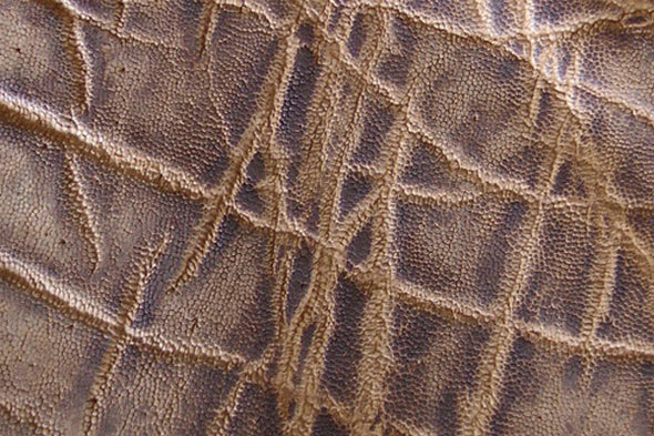 lucchese elephant skin boots