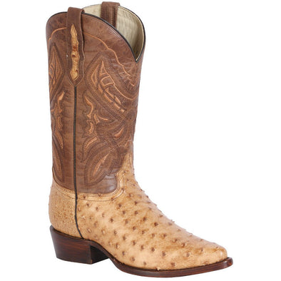 women exotic boots