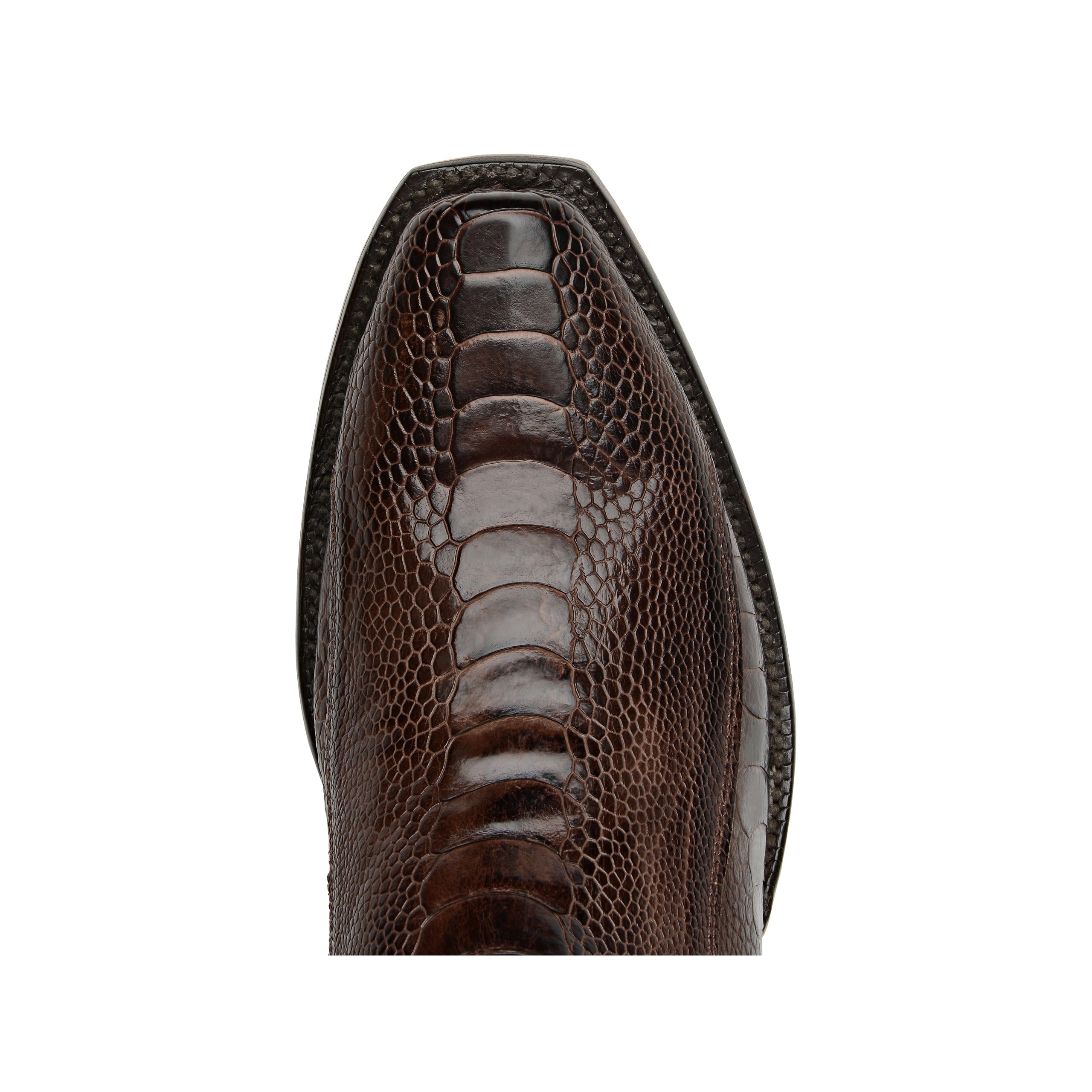 lucchese ostrich leg