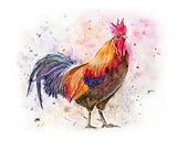 Bold rooster: A riot of vivid colors in a symphony of plumage brilliance
