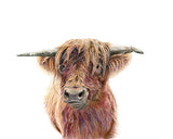 Highland cow portrait, a majestic blend of charm and character.