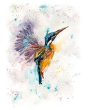 Gleaming jewel: Kingfisher's vivid plumage dazzles in a burst of radiant blues and greens.