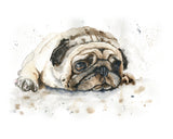 Charming pug portrait in expressive watercolors.Whimsical watercolor Pug portrait