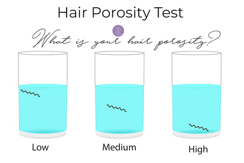Everything You Wanted to Know About Hair Porosity  CurlsandBeautyDiary