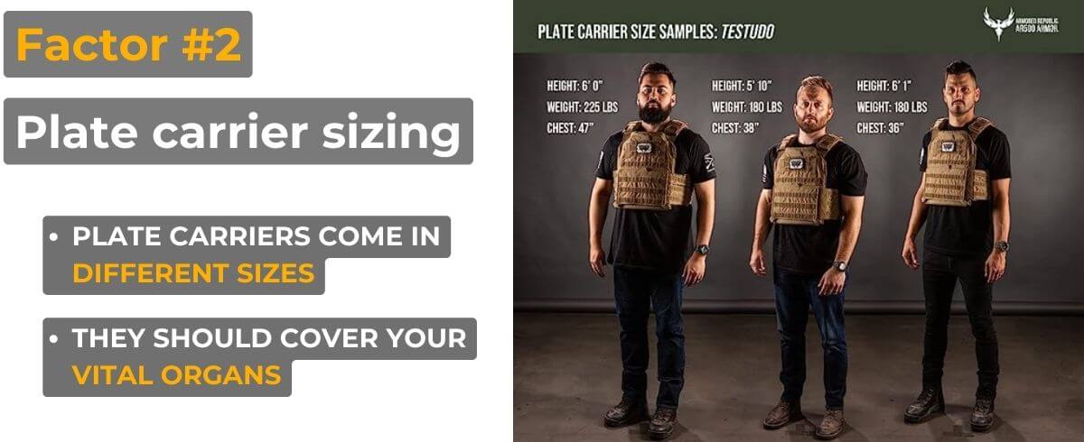 plate carrier setup