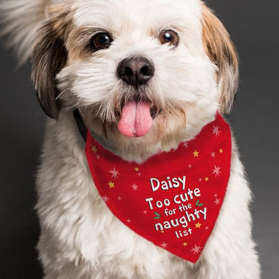 Personalized Dog Bandana, New Christmas Pet Gift!