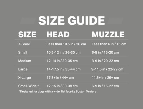 Rex Specs Size chart