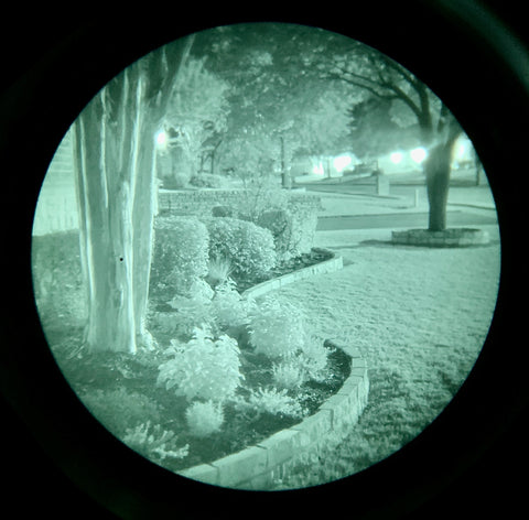 white phosphorus night vision