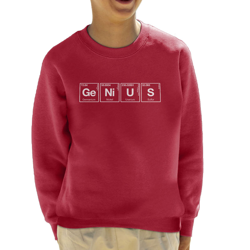 Elements Of A Genius Kid's Sweatshirt - coto7