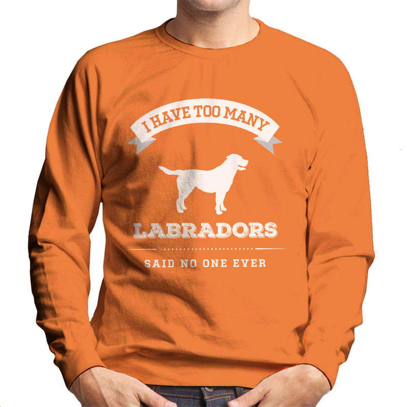 I Have Too Many Labradors Said No One Ever Men's Sweatshirt - coto7