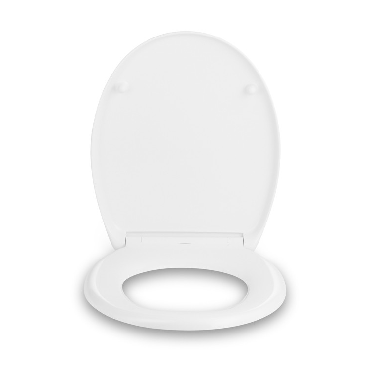 Bestrooi Dicteren Krijt Luxe WC bril Soft-Close
