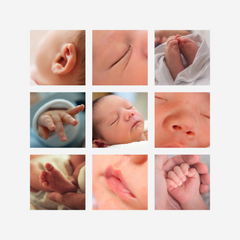 DIY Newborn Photographs - How to take new baby photos.  Fresh 24 photos.  Newborn Baby Collage.