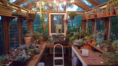 DIY Glass Greenhouse