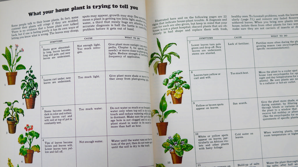 1970s Vintage Flowering House Plants Book By Time Life Encyclopedia Of Gardening - 