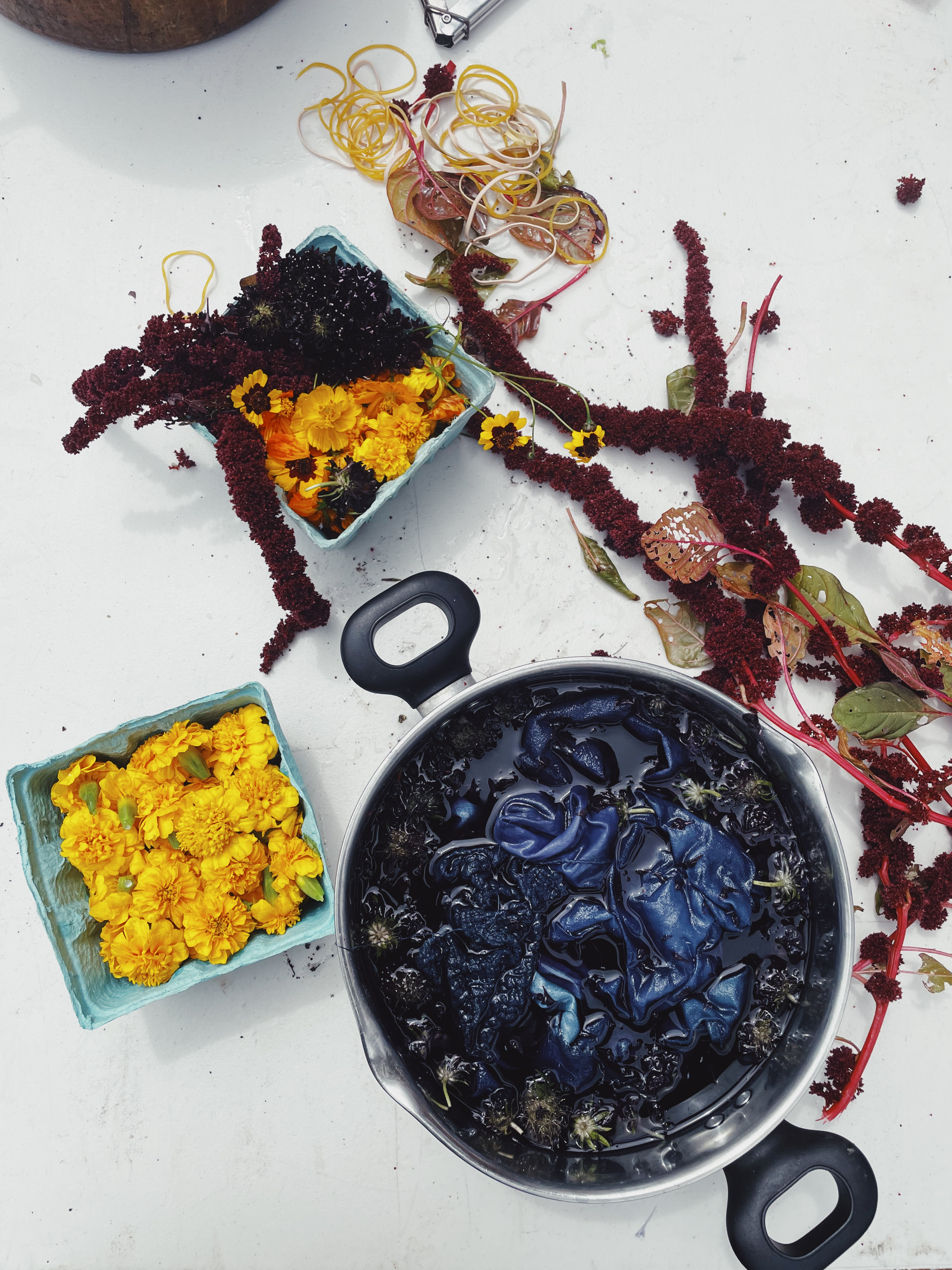 DIY: Indigo Dye with Cara Marie Piazza - Gardenista