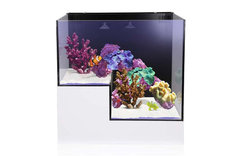 Innovative Marine NUVO Concept - ABYSS Panorama Kit - Bay Bridge Aquarium and Pet