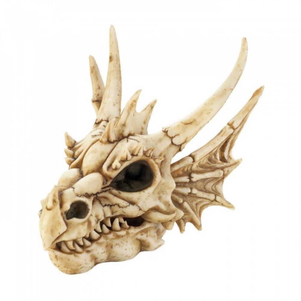 Dragon skull