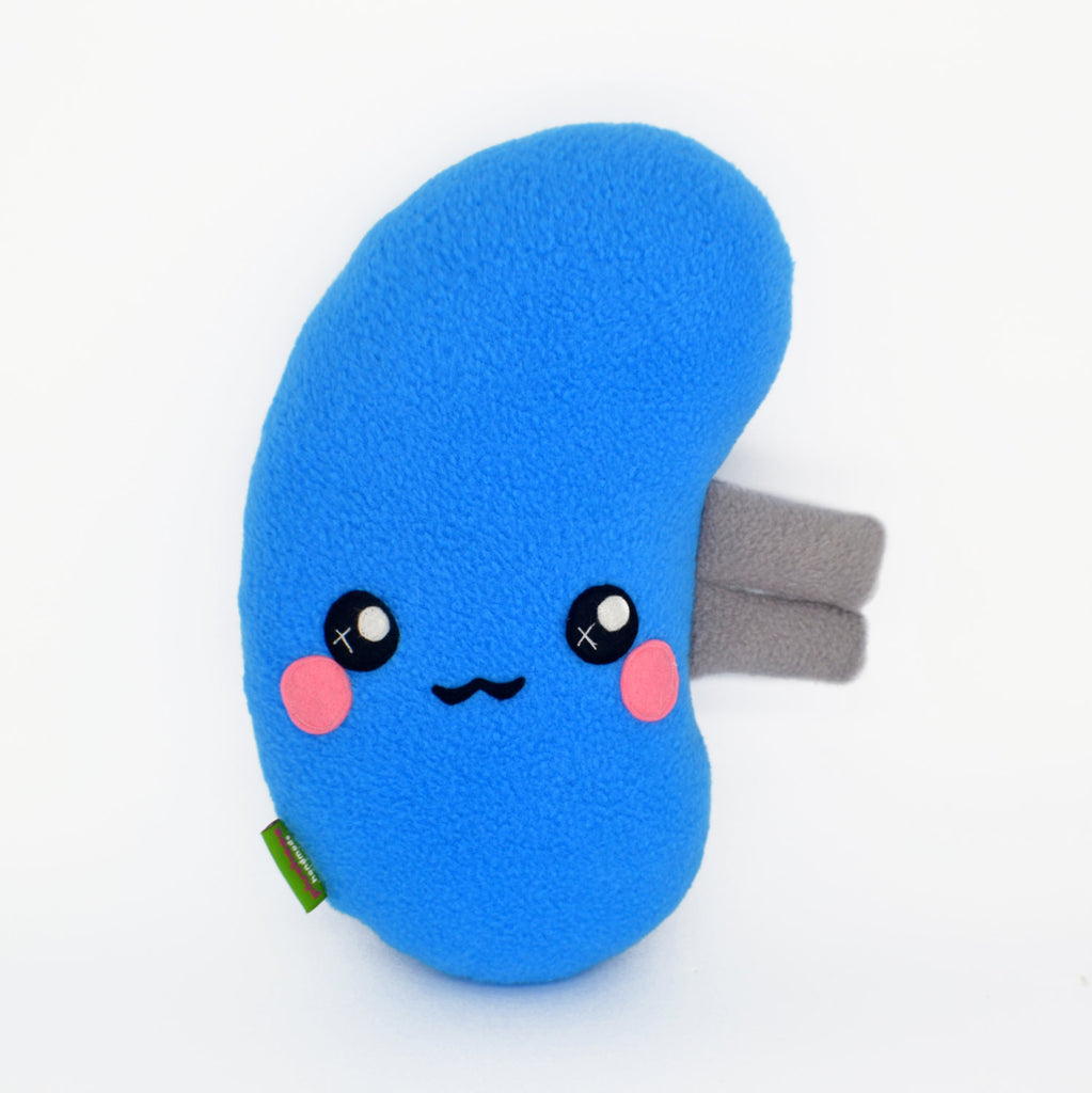 kidney plush