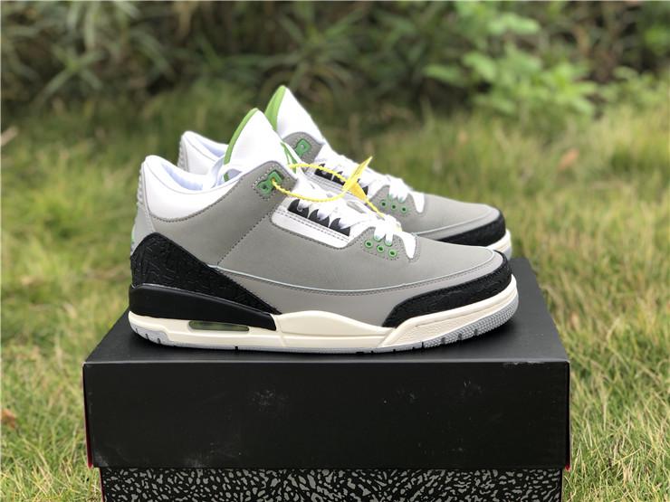 aj 3 chlorophyll